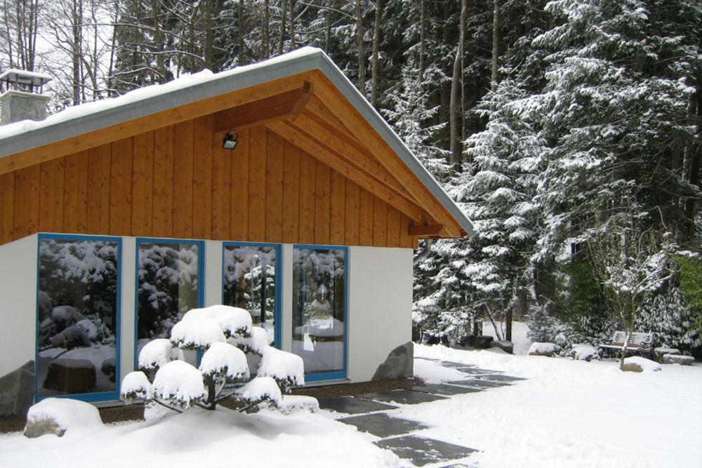 Bio-Ferienhaus-Eifel Rott  Exterior photo